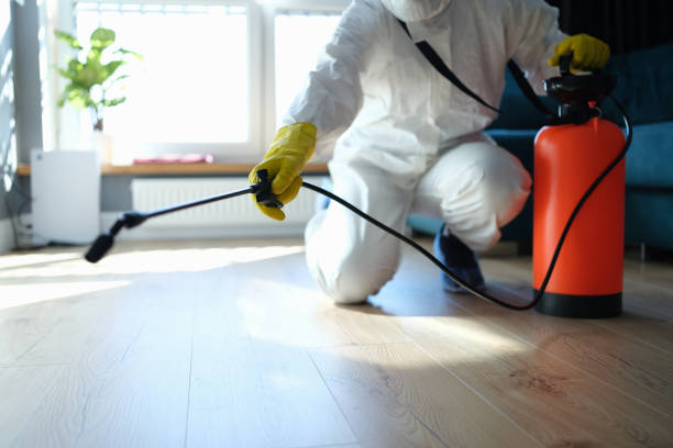 Reliable Hoarding Cleanup contractor in Tilden, IL by Dulley Family Biohazard Services